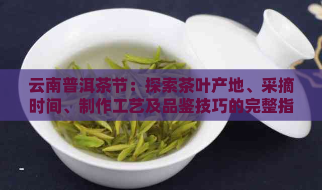 云南普洱茶节：探索茶叶产地、采摘时间、制作工艺及品鉴技巧的完整指南