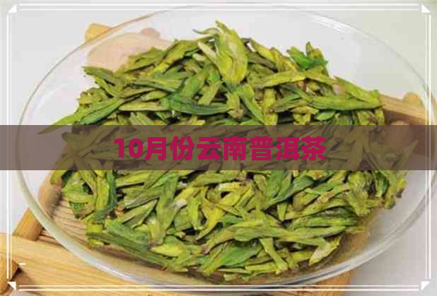 10月份云南普洱茶