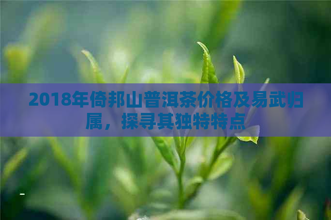 2018年倚邦山普洱茶价格及易武归属，探寻其独特特点