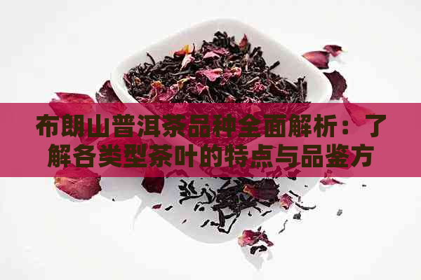 布朗山普洱茶品种全面解析：了解各类型茶叶的特点与品鉴方法