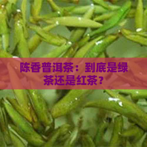 陈香普洱茶：到底是绿茶还是红茶？