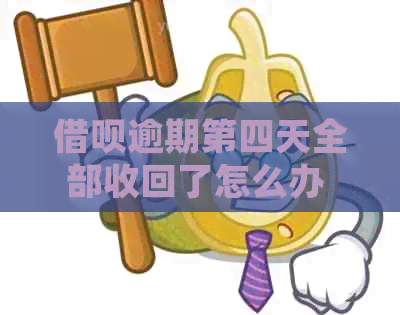 借呗逾期第四天全部收回了怎么办 - 如何处理被收回的借呗额度