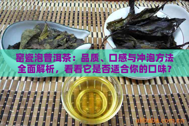 窑瓷泡普洱茶：品质、口感与冲泡方法全面解析，看看它是否适合你的口味？