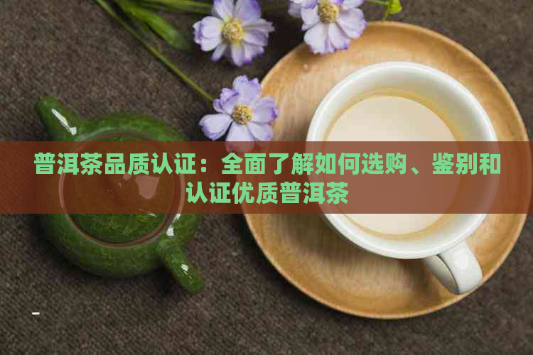 普洱茶品质认证：全面了解如何选购、鉴别和认证优质普洱茶