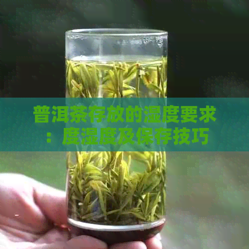 普洱茶存放的湿度要求：度湿度及保存技巧