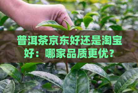 普洱茶京东好还是淘宝好：哪家品质更优？