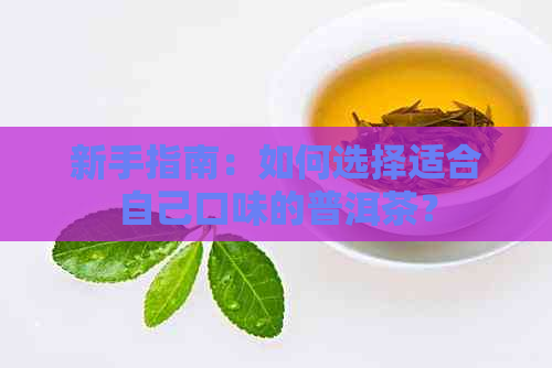 新手指南：如何选择适合自己口味的普洱茶？