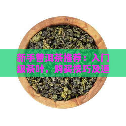 新手普洱茶推荐：入门级茶叶，购买技巧及适合新手口感的普洱茶品种。