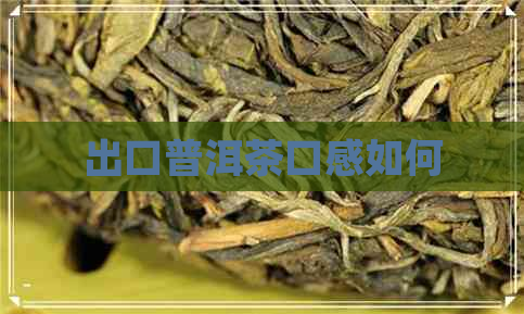 出口普洱茶口感如何