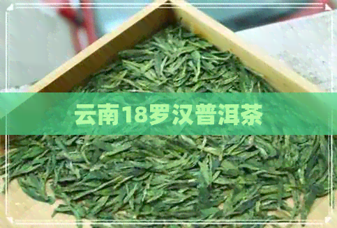 云南18罗汉普洱茶