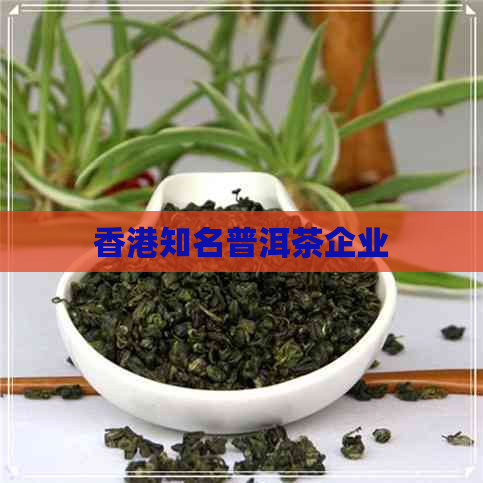 知名普洱茶企业