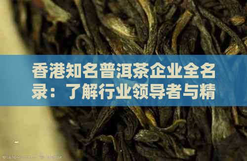 知名普洱茶企业全名录：了解行业领导者与精品茶叶