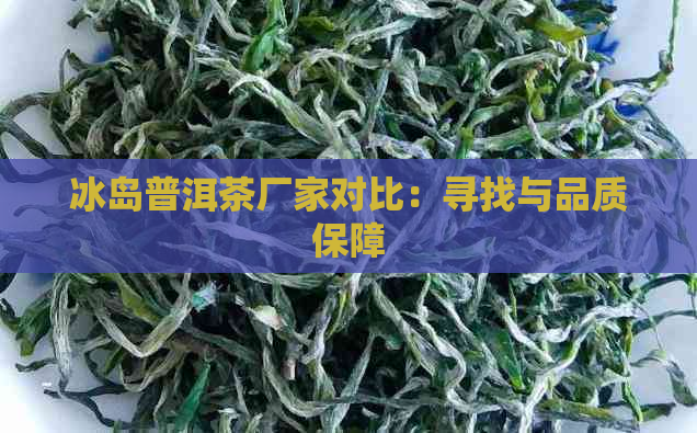 冰岛普洱茶厂家对比：寻找与品质保障