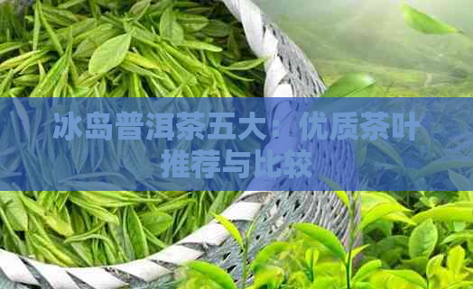 冰岛普洱茶五大：优质茶叶推荐与比较