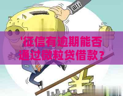 '有逾期能否通过微粒贷借款？怎么操作？'。