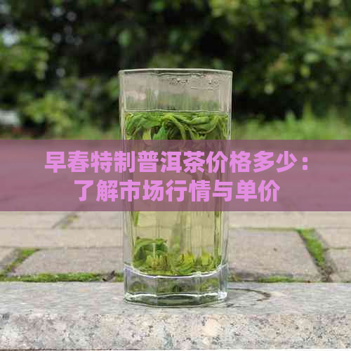 早春特制普洱茶价格多少：了解市场行情与单价