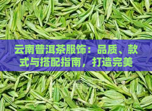 云南普洱茶服饰：品质、款式与搭配指南，打造完美茶文化体验