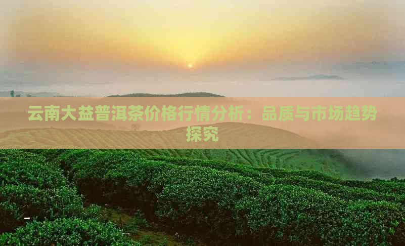 云南大益普洱茶价格行情分析：品质与市场趋势探究