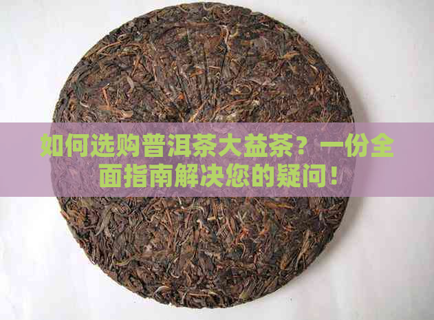 如何选购普洱茶大益茶？一份全面指南解决您的疑问！