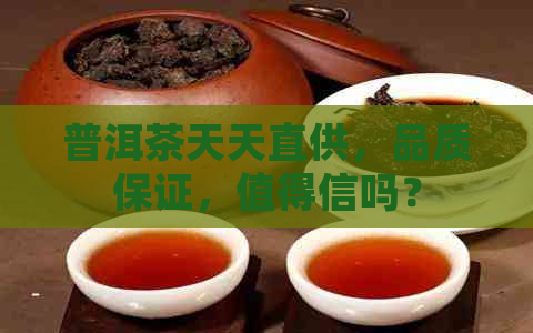 普洱茶天天直供，品质保证，值得信吗？