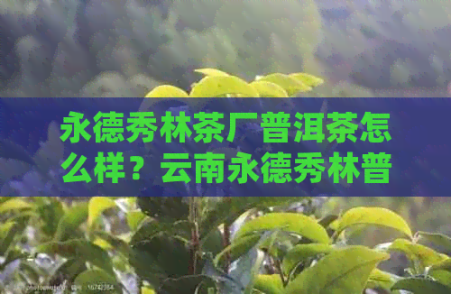 永德秀林茶厂普洱茶怎么样？云南永德秀林普洱茶业，提供价格信息