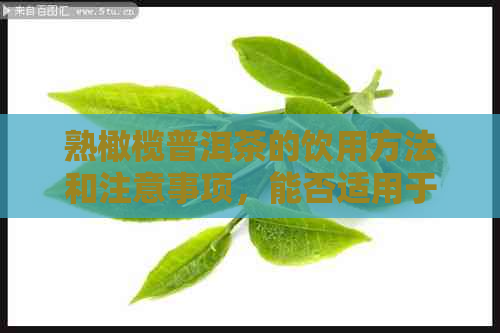 熟橄榄普洱茶的饮用方法和注意事项，能否适用于所有人群？