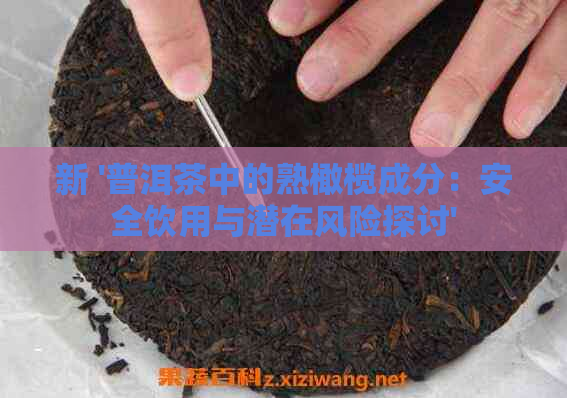 新 '普洱茶中的熟橄榄成分：安全饮用与潜在风险探讨'