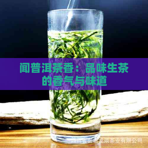 闻普洱茶香：品味生茶的香气与味道