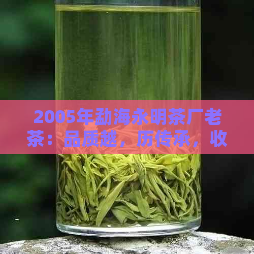 2005年勐海永明茶厂老茶：品质越，历传承，收藏珍品