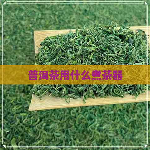 普洱茶用什么煮茶器