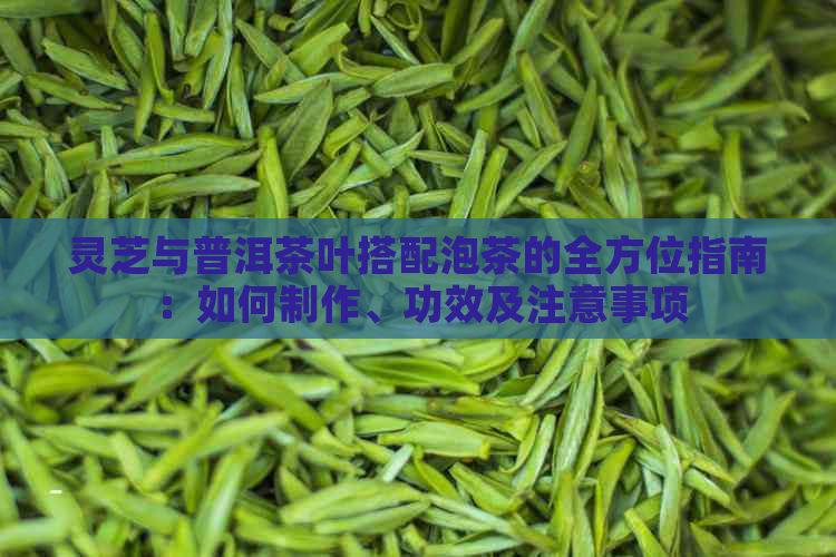 灵芝与普洱茶叶搭配泡茶的全方位指南：如何制作、功效及注意事项