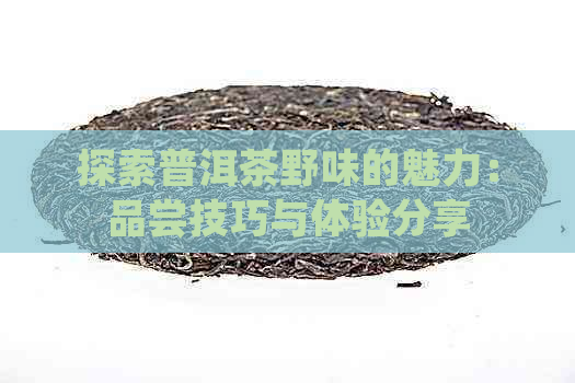 探索普洱茶野味的魅力：品尝技巧与体验分享