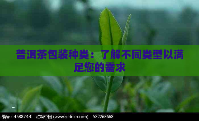 普洱茶包装种类：了解不同类型以满足您的需求