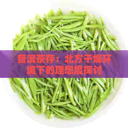 普洱茶存：北方干燥环境下的理想度探讨