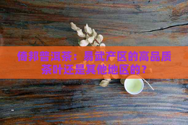 倚邦普洱茶：易武产区的高品质茶叶还是其他地区的？