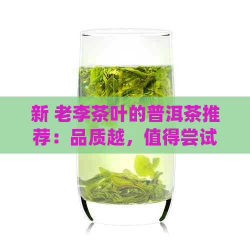 新 老李茶叶的普洱茶推荐：品质越，值得尝试的茶品