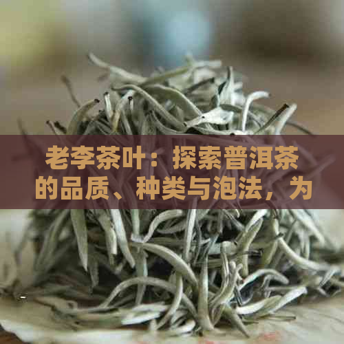 老李茶叶：探索普洱茶的品质、种类与泡法，为您提供全面的品饮指南