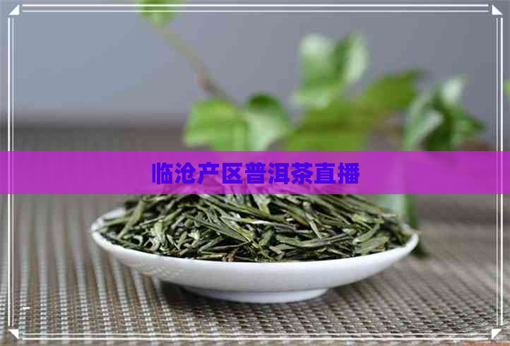 临沧产区普洱茶直播