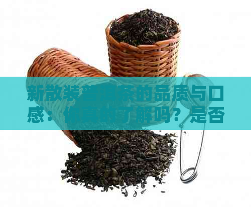 新散装普洱茶的品质与口感：你真的了解吗？是否适合日常饮用？