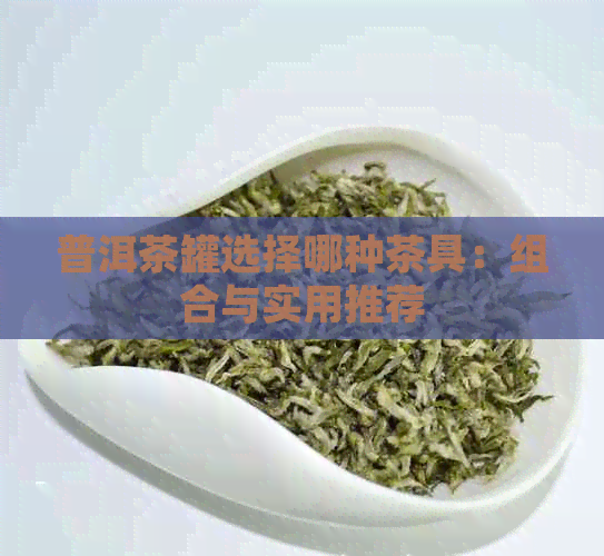 普洱茶罐选择哪种茶具：组合与实用推荐