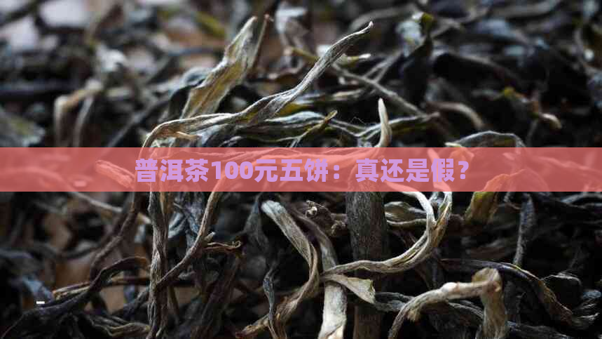 普洱茶100元五饼：真还是假？