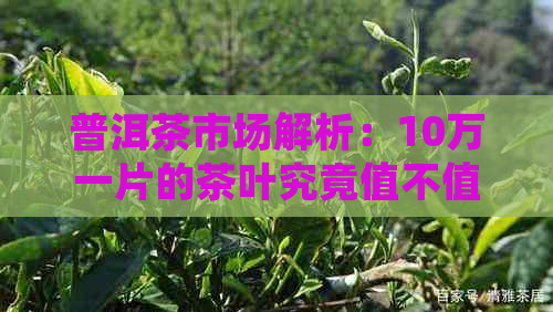 普洱茶市场解析：10万一片的茶叶究竟值不值得购买？