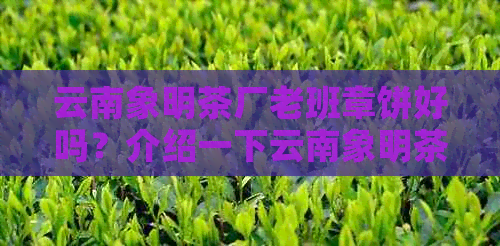 云南象明茶厂老班章饼好吗？介绍一下云南象明茶厂和福象茶厂的区别及关系。