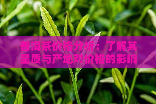 普洱茶价格分析：了解其品质与产地对价格的影响，找到性价比更高的茶叶。