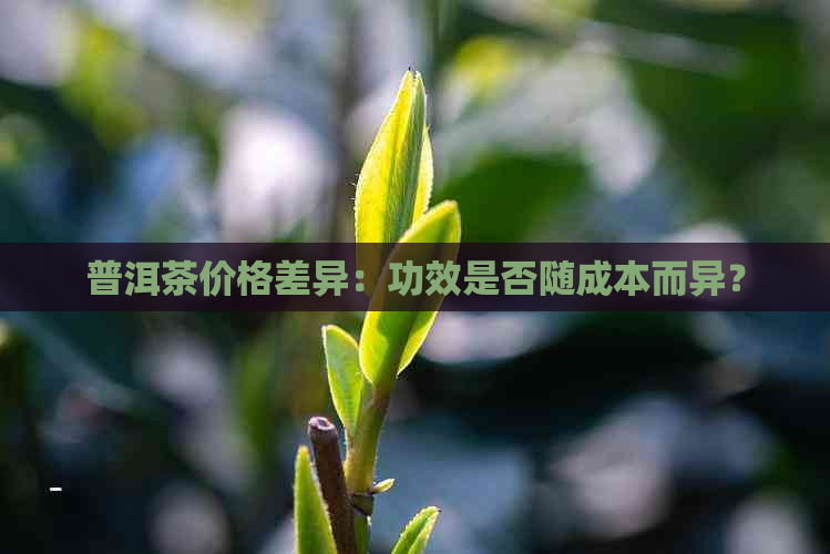 普洱茶价格差异：功效是否随成本而异？