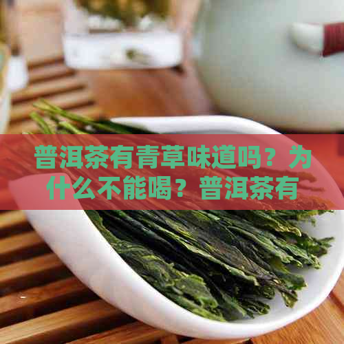 普洱茶有青草味道吗？为什么不能喝？普洱茶有股青草味怎么办？