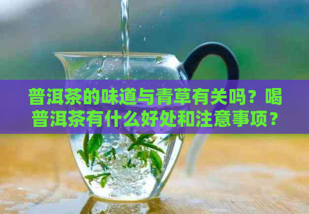 普洱茶的味道与青草有关吗？喝普洱茶有什么好处和注意事项？