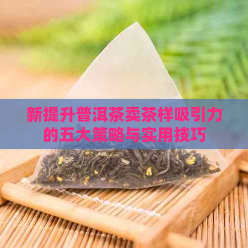 新提升普洱茶卖茶样吸引力的五大策略与实用技巧