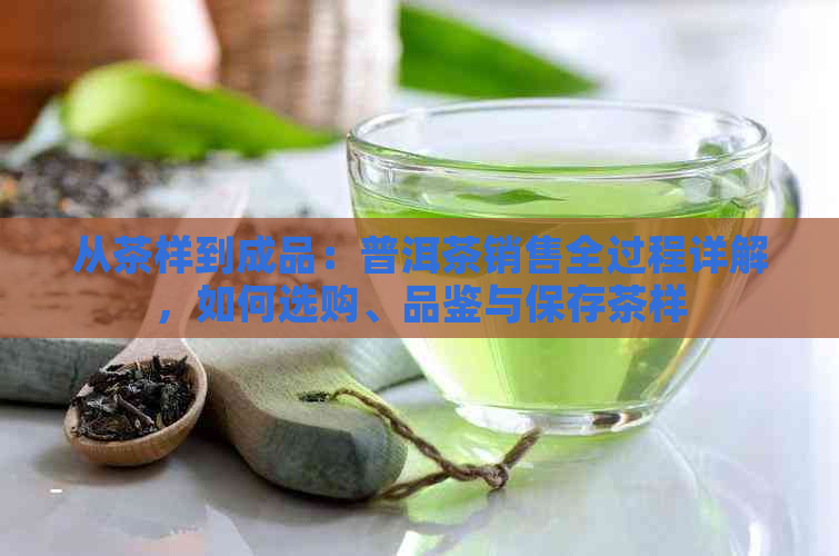 从茶样到成品：普洱茶销售全过程详解，如何选购、品鉴与保存茶样