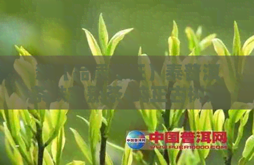 新【品质保证】泰普洱茶铁盒熟茶-纯正古树茶，经典口感，收藏佳品